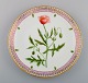 item no:
463032 item no:
463032