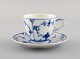 item no:
463652 item no:
463652