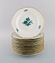 item no:
463675 item no:
463675