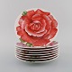 item no:
464067 item no:
464067