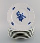 item no:
464895 item no:
464895