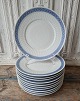 item no:
465114 item no:
465114