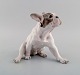 item no:
467079 item no:
467079