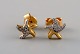 item no:
469145 item no:
469145