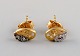 item no:
469146 item no:
469146