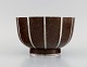 item no:
469153 item no:
469153