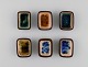 item no:
471497 item no:
471497