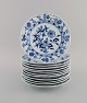 item no:
474638 item no:
474638