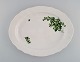 item no:
476490 item no:
476490