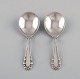 item no:
477314 item no:
477314