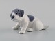 item no:
479272 item no:
479272