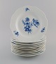 item no:
480241 item no:
480241