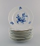 item no:
480244 item no:
480244