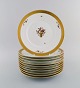 item no:
485268 item no:
485268