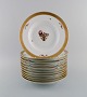 item no:
485269 item no:
485269