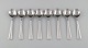 item no:
486002 item no:
486002