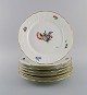 item no:
488991 item no:
488991