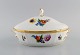 item no:
489016 item no:
489016