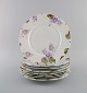 item no:
490866 item no:
490866