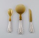 item no:
490900 item no:
490900