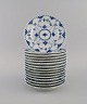 item no:
495493 item no:
495493