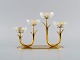 item no:
496338 item no:
496338