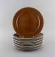 item no:
497055 item no:
497055