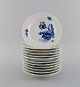 item no:
497059 item no:
497059