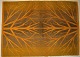 item no:
499623 item no:
499623