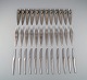item no:
501160 item no:
501160