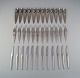 item no:
501161 item no:
501161