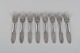 item no:
501164 item no:
501164