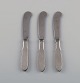 item no:
501165 item no:
501165