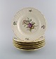 item no:
501756 item no:
501756