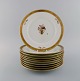 item no:
501782 item no:
501782