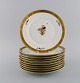 item no:
501783 item no:
501783