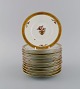 item no:
501785 item no:
501785