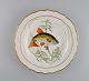 item no:
501791 item no:
501791