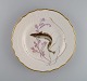 item no:
501794 item no:
501794