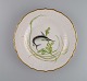 item no:
501795 item no:
501795