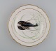 item no:
501796 item no:
501796