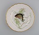 item no:
501797 item no:
501797