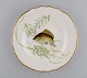 item no:
501803 item no:
501803