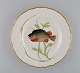 item no:
501804 item no:
501804
