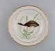 item no:
501805 item no:
501805