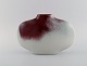 item no:
501817 item no:
501817