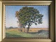 emne nr:
503021