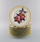 item no:
503630 item no:
503630