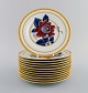 item no:
505183 item no:
505183