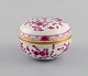 item no:
505208 item no:
505208